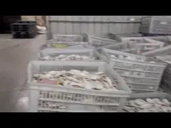Wysokiej wytrzymałości związek do formowania melaminy nietoksyczny, odporny na ciepło
